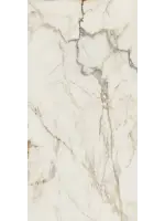 59,8 x 119,8 cm
