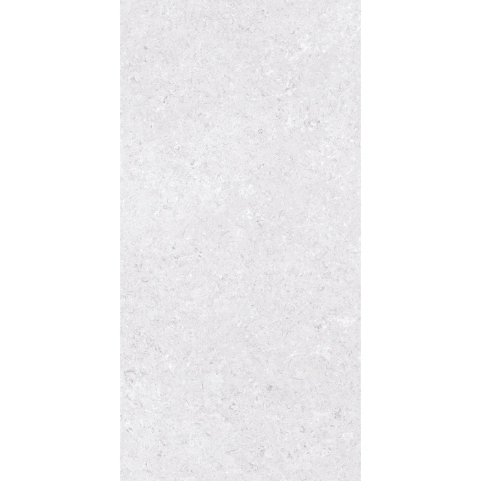Faianță Palazzo Light Grey 30 x 60 cm