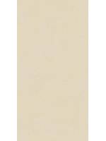 59.8 x 119.8 cm