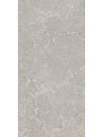 59.8 x 119.8 cm