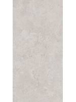 59.8 x 119.8 cm