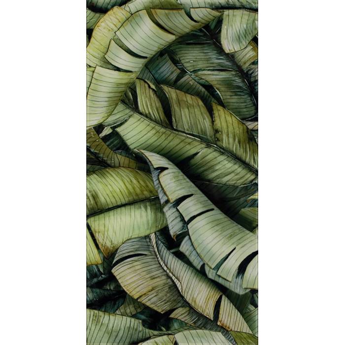 Faianță universală inserto leaf B 30 x 60 cm
