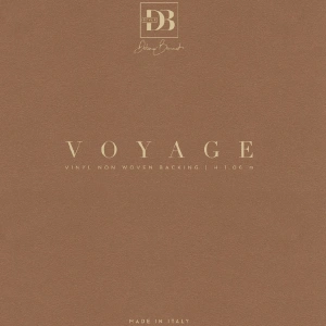 Voyage