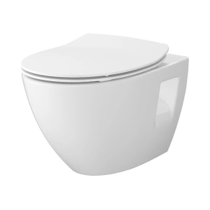Vase WC și bideuri 